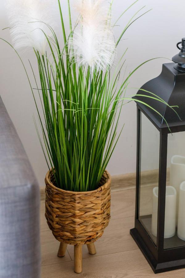 Osiedle Feniks Kolobrzeg By Noclegi Renters ภายนอก รูปภาพ